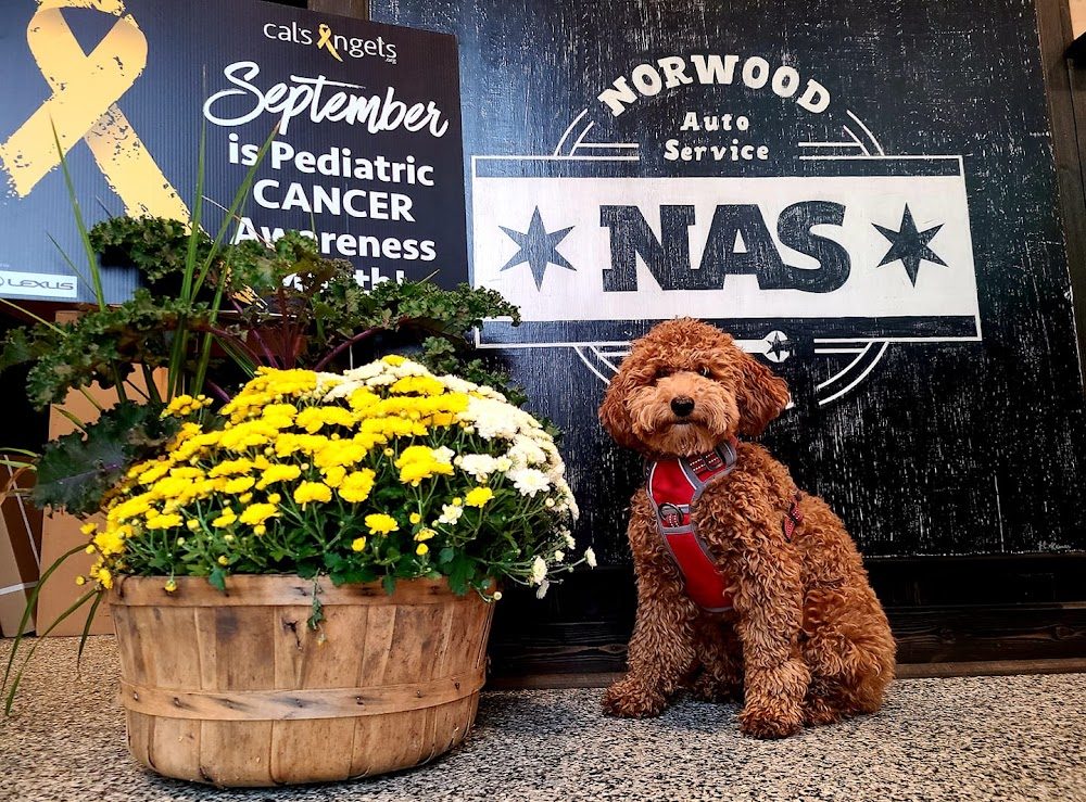 Norwood Auto Service in Chicago, IL